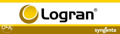 SYNGENTA HERBICID "LOGRAN 20 WG" PSENICA JECAM