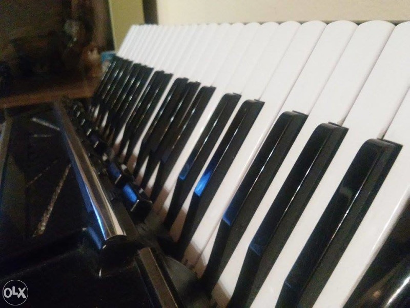 Harmonika FARFISA XS TRONSIVOX-