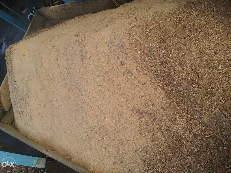 piljevina budo export