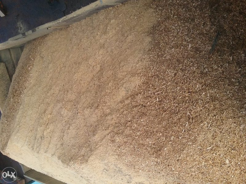 piljevina budo export