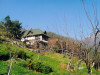 Zemljište sa vikendicom 1772 m2 Nahorevo