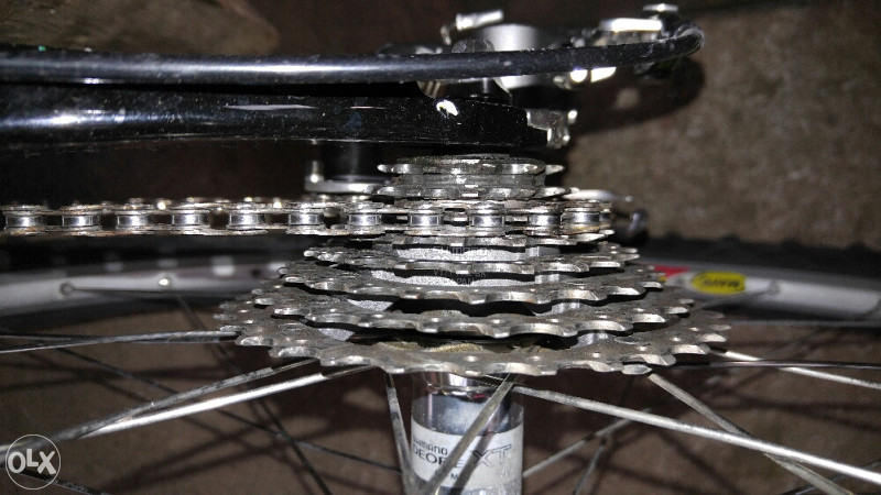 Scott Endorphin Carbon