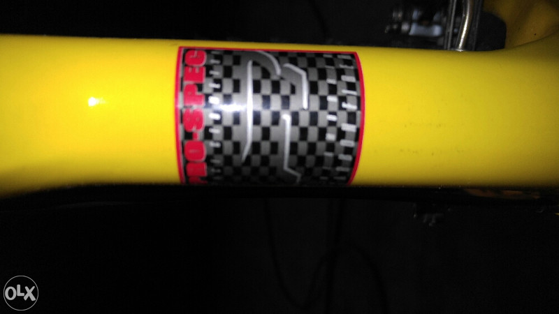 Scott Endorphin Carbon