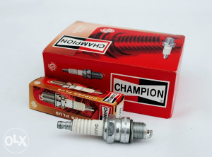 CHAMPION Svjećica 19Lm
