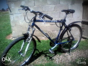 bianchi xc 251